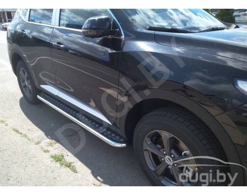 HAVAL F7 с 2018-н.в. боковые подножки Hector D53 из нержавеющей стали и накладным листом из алюминия 
